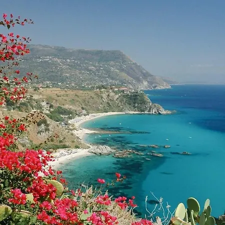 Suitecorso * فيبو فالينتيا